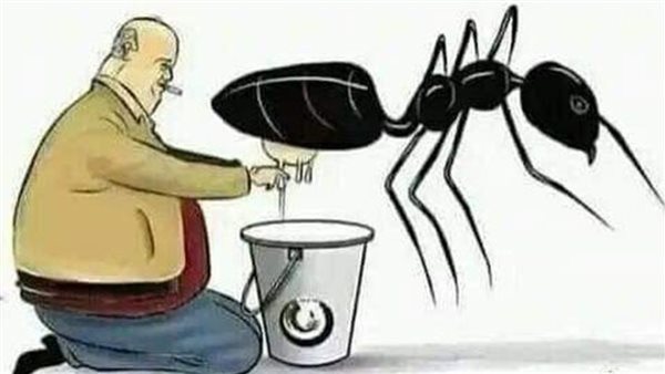 بمكونين فقط تخلصوا