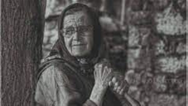  فائدة شرب زيت الزيتون