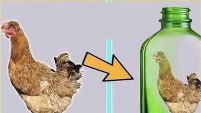 قصه وعبره 