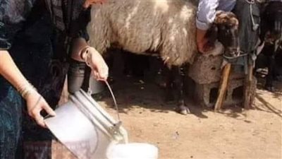 قصه العيش والملح كامله 
