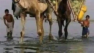 عثمان بن عفان يملك حساب في احدى البنوك في السـعودية