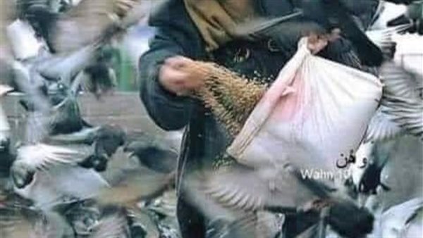موقع أيام نيوز