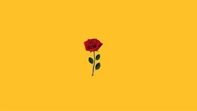 قصه حقيقيه 
