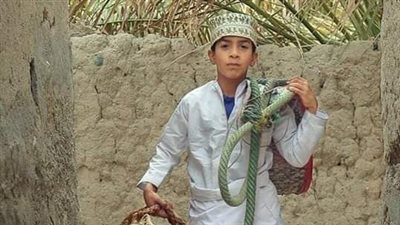 الحطاب