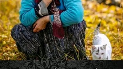 عجوز راجعه من السوق 