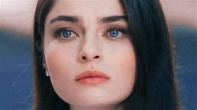 قصة أبي ډمر حياتي كاملة