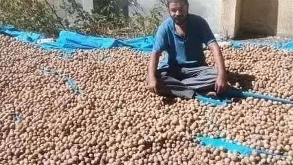 موقع أيام نيوز