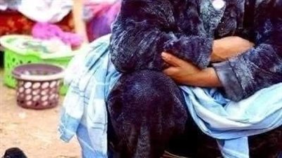 بائعة البط 